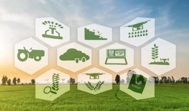 借鑒國(guó)際經(jīng)驗(yàn) 加快我國(guó)智慧農(nóng)業(yè)發(fā)展